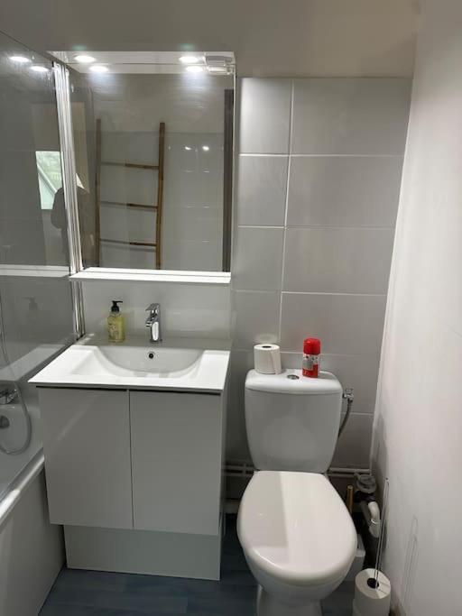 Appart Chaleureux Chez Seb&laeti Appartement *